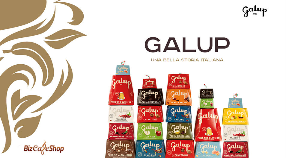 Catalog produse 17 Catalog produse 17