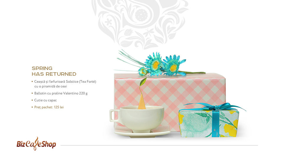 Catalog produse 12 Catalog produse 12